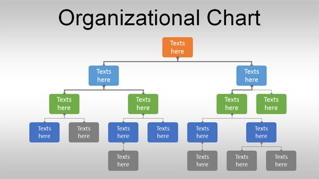 Organization Chart In Word Format